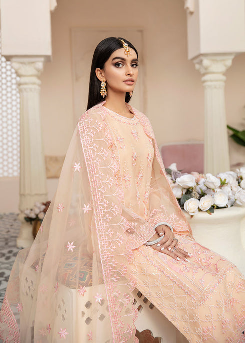Akbar Aslam Organza Embroidered  suit IRENE