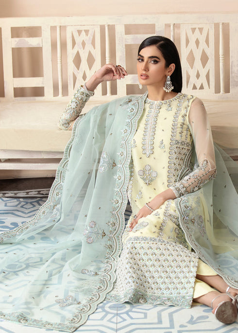 Akbar Aslam Organza Embroidered  suit ACIRA