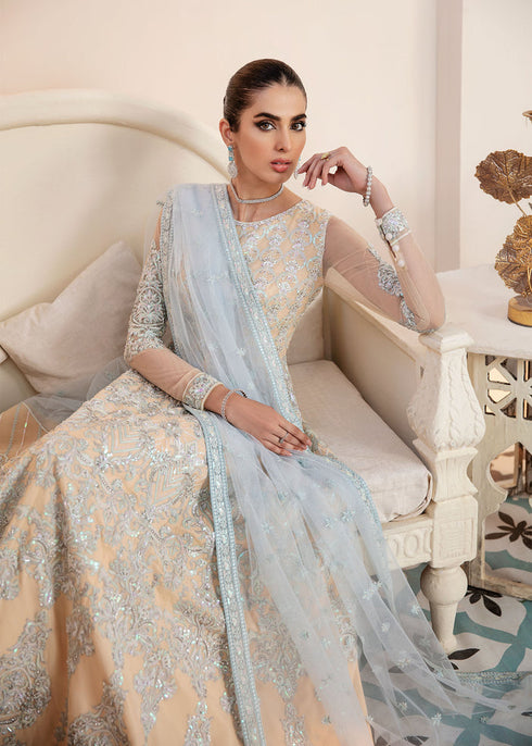 Akbar Aslam net Embroidered  maxi CRYSTAL