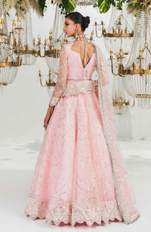 Embroidered Organza Bridal Dress MBM-0042