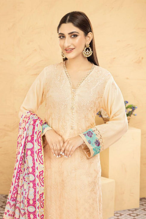 Lush Embroidered Chiffon Chikankari 3 Piece Suit L-126