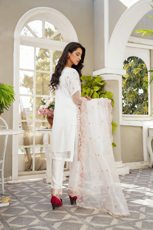 Lush Embroidered Organza 3 Piece Suit L-114