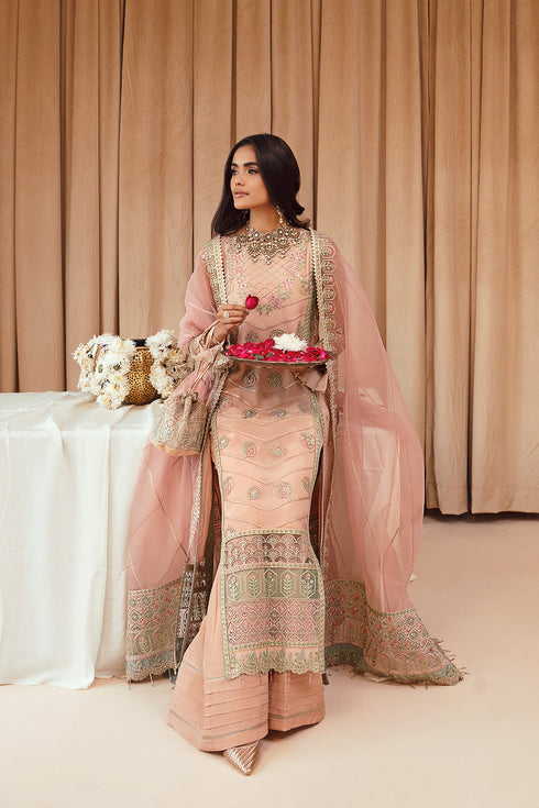 Farasha Embroidered Net 3 piece suit Nazneen