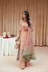 Farasha Embroidered Net 3 piece suit Nazneen