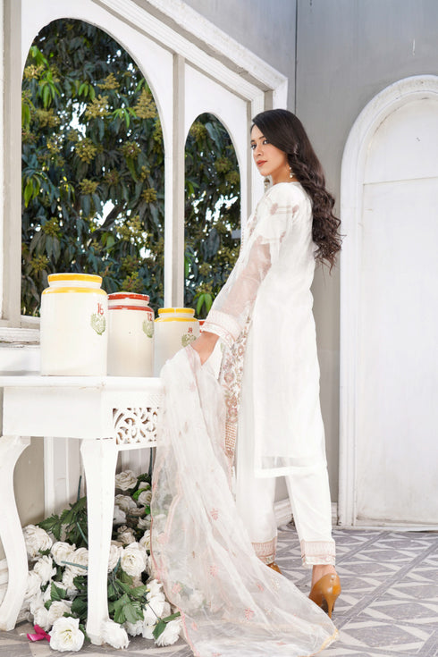 Lush Embroidered Chiffon 3 Piece Suit L-113