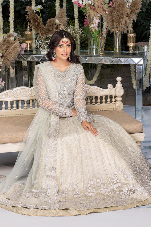 Azure Embroidered Net 3 piece suit Wedding Afsana