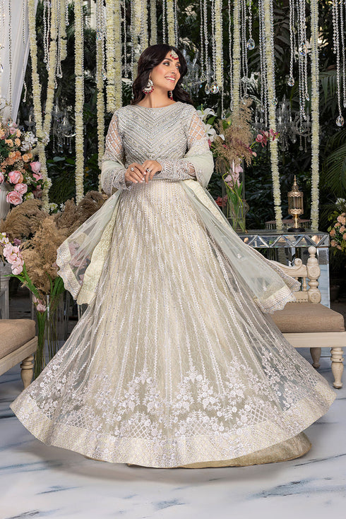 Azure Embroidered Net 3 piece suit Wedding Afsana