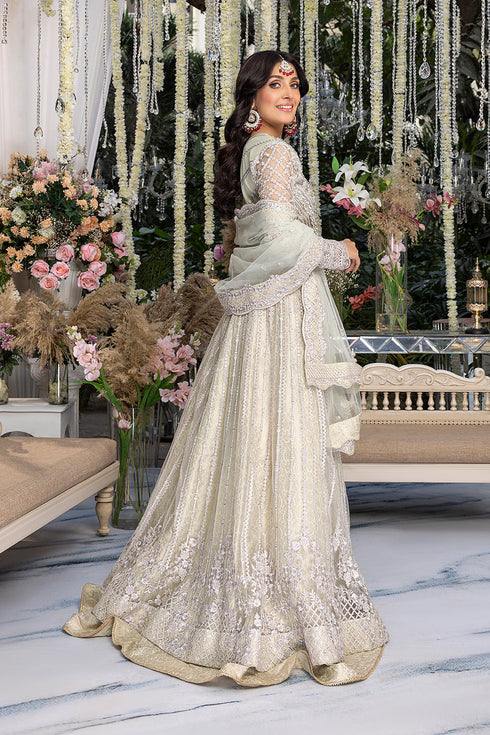Azure Embroidered Net 3 piece suit Wedding Afsana